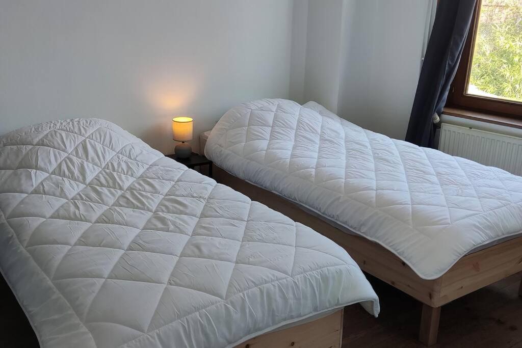 Maison Ronchin/Lille - Proche Toutes Commodites Екстериор снимка
